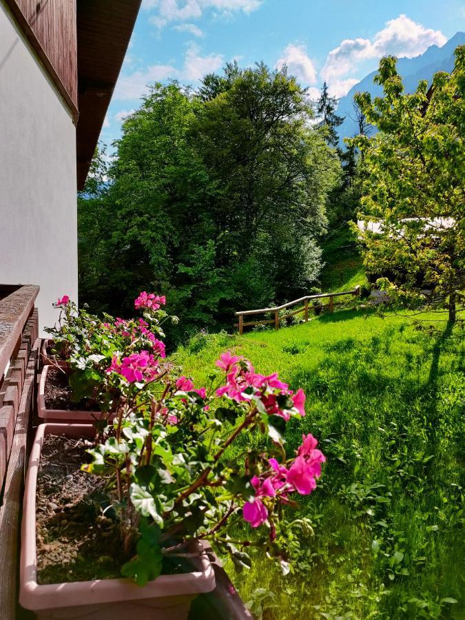 Il Terrazzo Sulle Dolomiti Apartment Cibiana Exterior photo